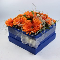 Kvetinov krabika pre zabench / modr